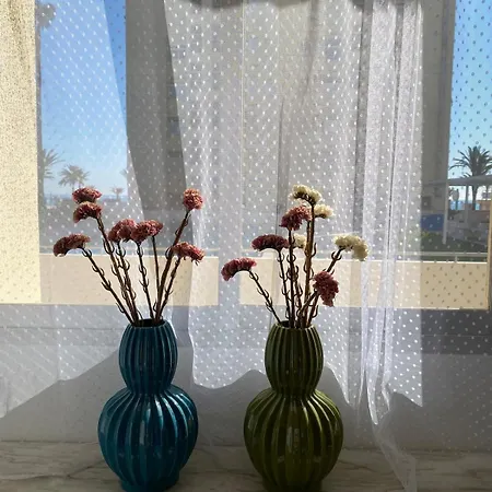 Casa Flora 公寓 Playa de Gandia